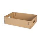 Cardboard Packaging for Seedlings 480x310x130